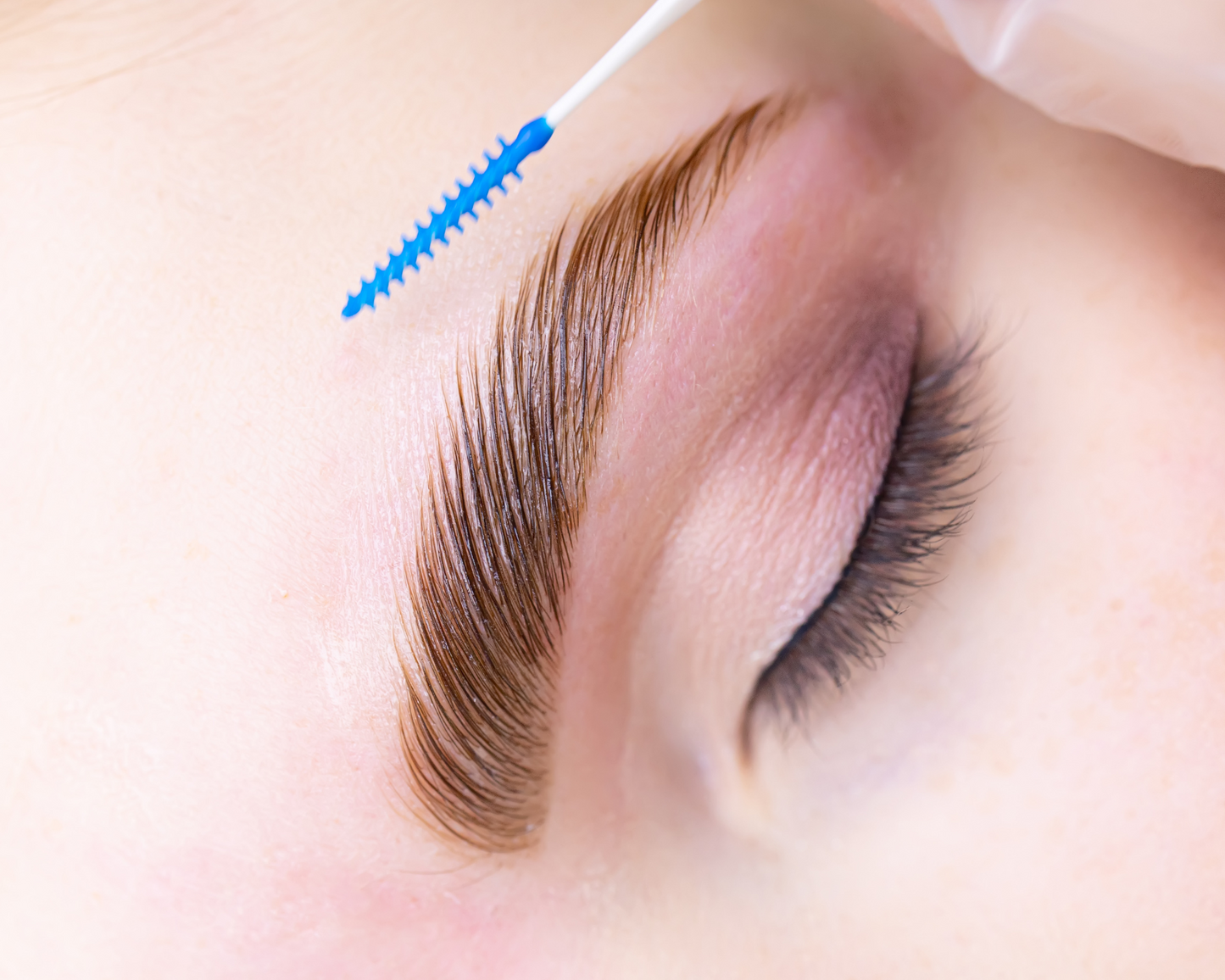 Eyebrow & Eyelash Treatments - Beauty Treatment