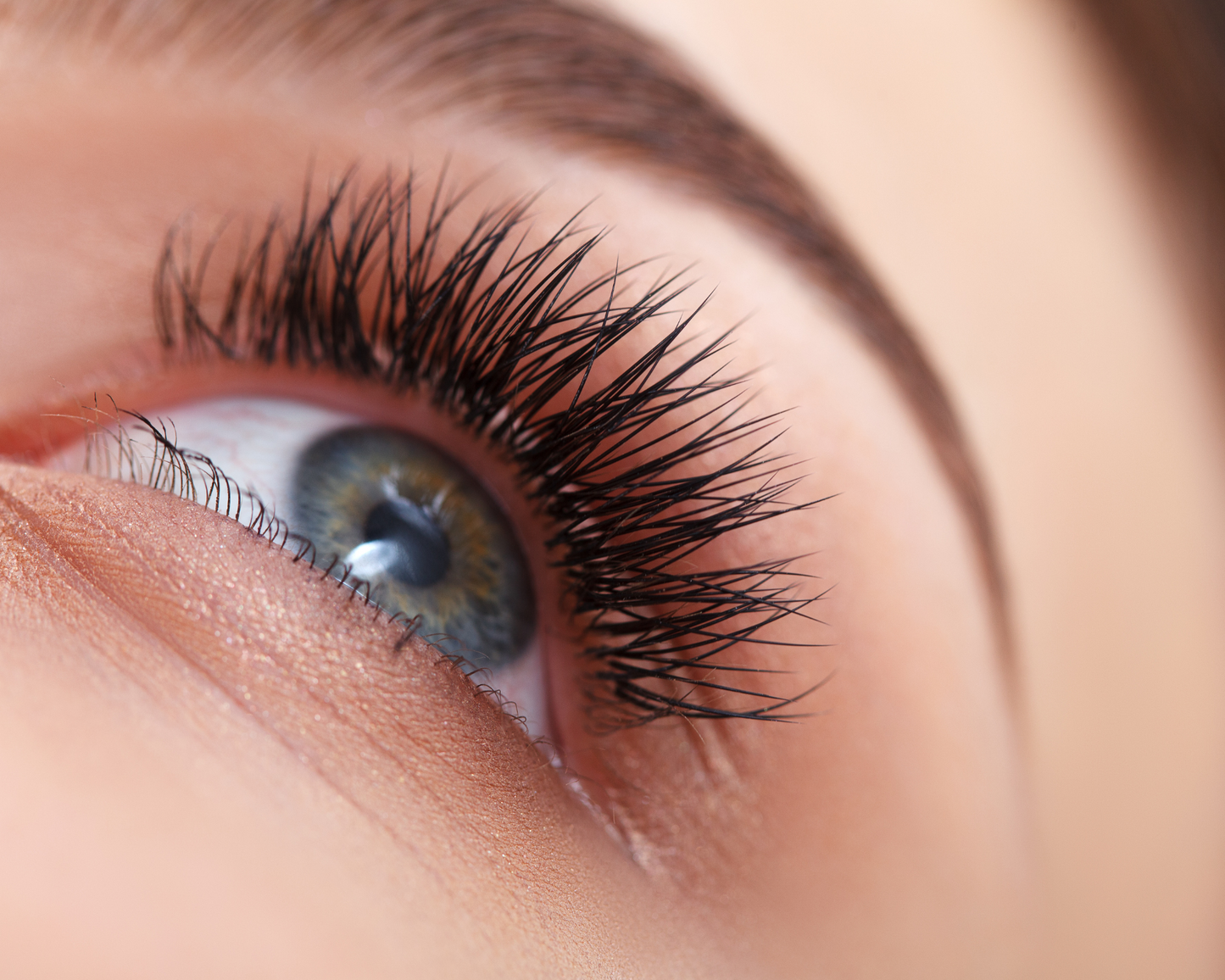 Eyebrow & Eyelash Treatments - Beauty Treatment